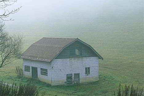 13.jpg (24335 bytes)