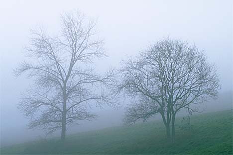 14.jpg (23890 bytes)