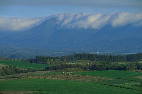18.jpg (18148 bytes)