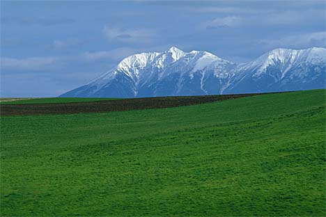 19.jpg (24966 bytes)