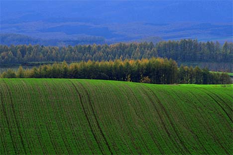 21.jpg (28538 bytes)