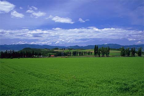22.jpg (27313 bytes)