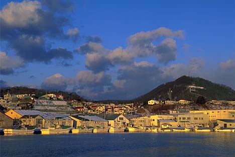 41.jpg (27420 bytes)