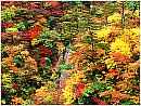 autumn3s.jpg (9223 bytes)