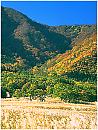 autumn5s.jpg (6603 bytes)