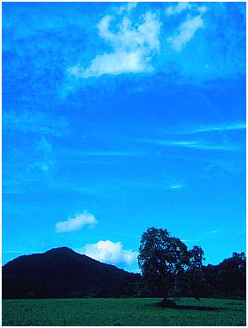summer4.jpg (18025 bytes)