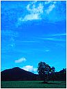 summer4s.jpg (4301 bytes)