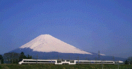 t13s.gif (14211 bytes)