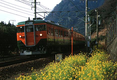 t15.jpg (46648 bytes)