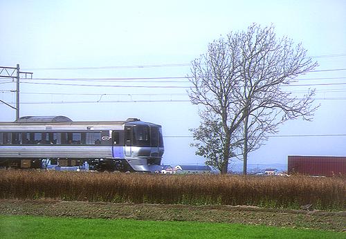 t7.jpg (39678 bytes)
