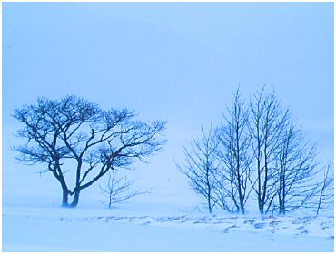 winter1.jpg (19382 bytes)